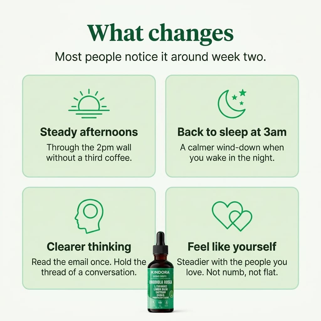 Morning Reset - Rhodiola Complex Liquid Drops