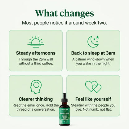 Morning Reset - Rhodiola Complex Liquid Drops